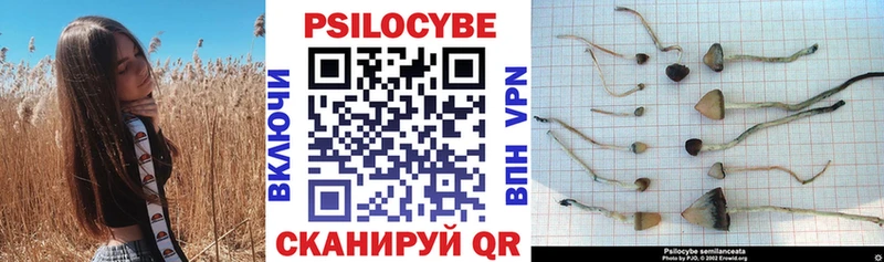 Галлюциногенные грибы Psilocybine cubensis  Нижняя Салда 
